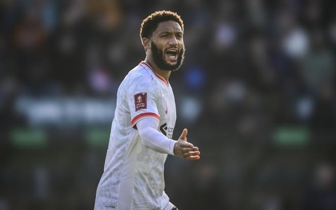 信念与勇气 信念与勇气