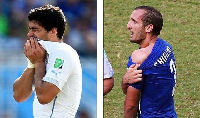 他们更多选 他们更多选